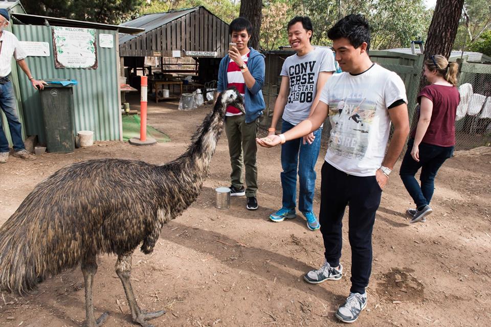 Students Explore Australia - Flinders Ranges Camp (2)