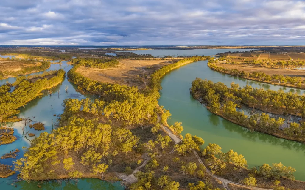 Image of Murray River taken on top of a hill.
