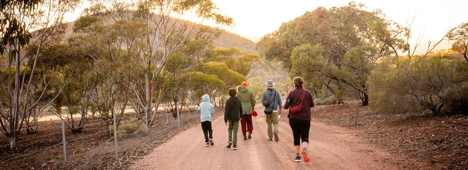 Two young participants, two supports, and a program facilitator hiking a trail from our Flinders Ranges camp. A beautiful view of trees and indigenous flora. The trail can be seen stretching into the treeline to the mountain ranges.